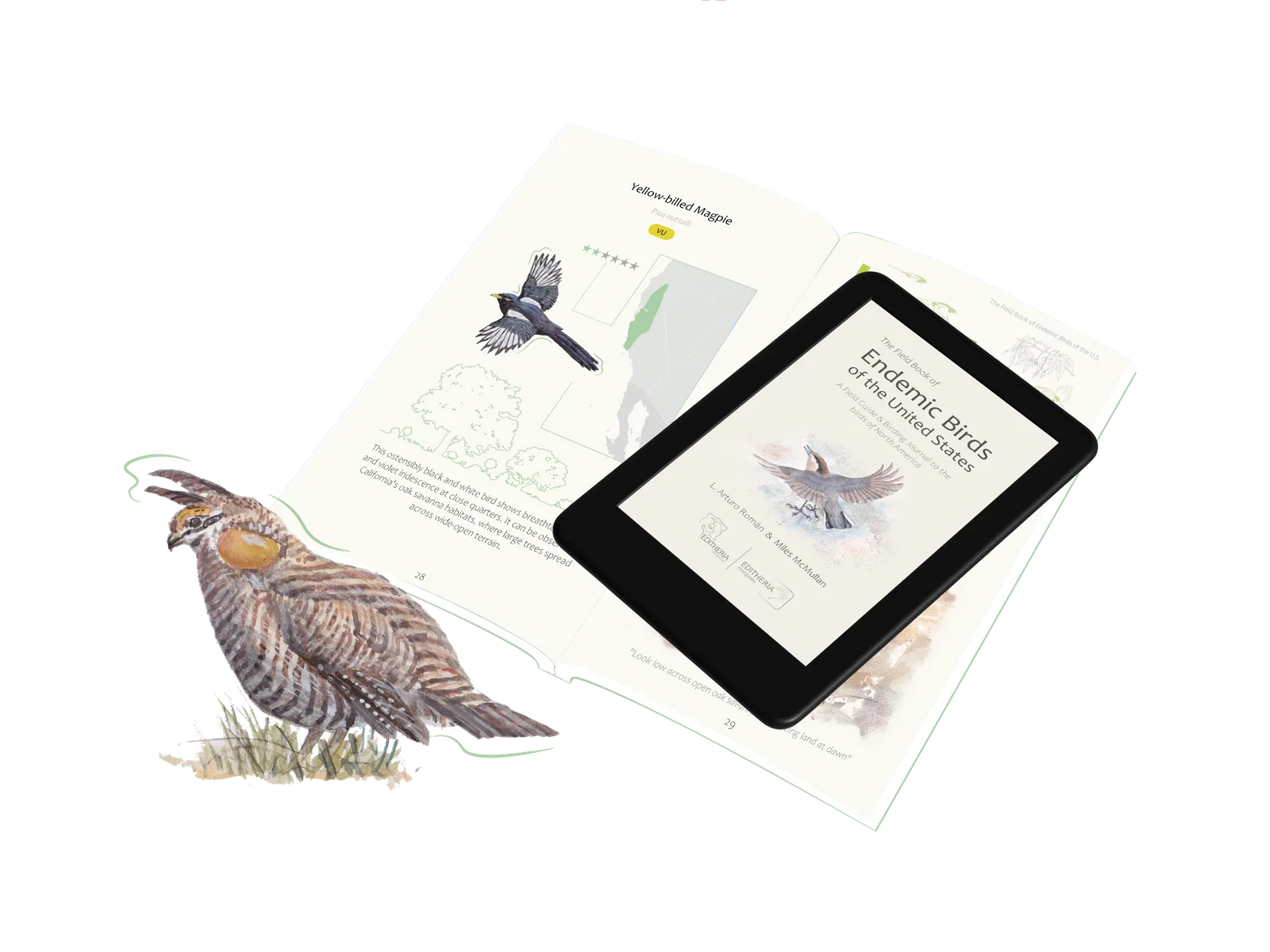 The front cover of The Field Book of Endemic Birds of the United States of America