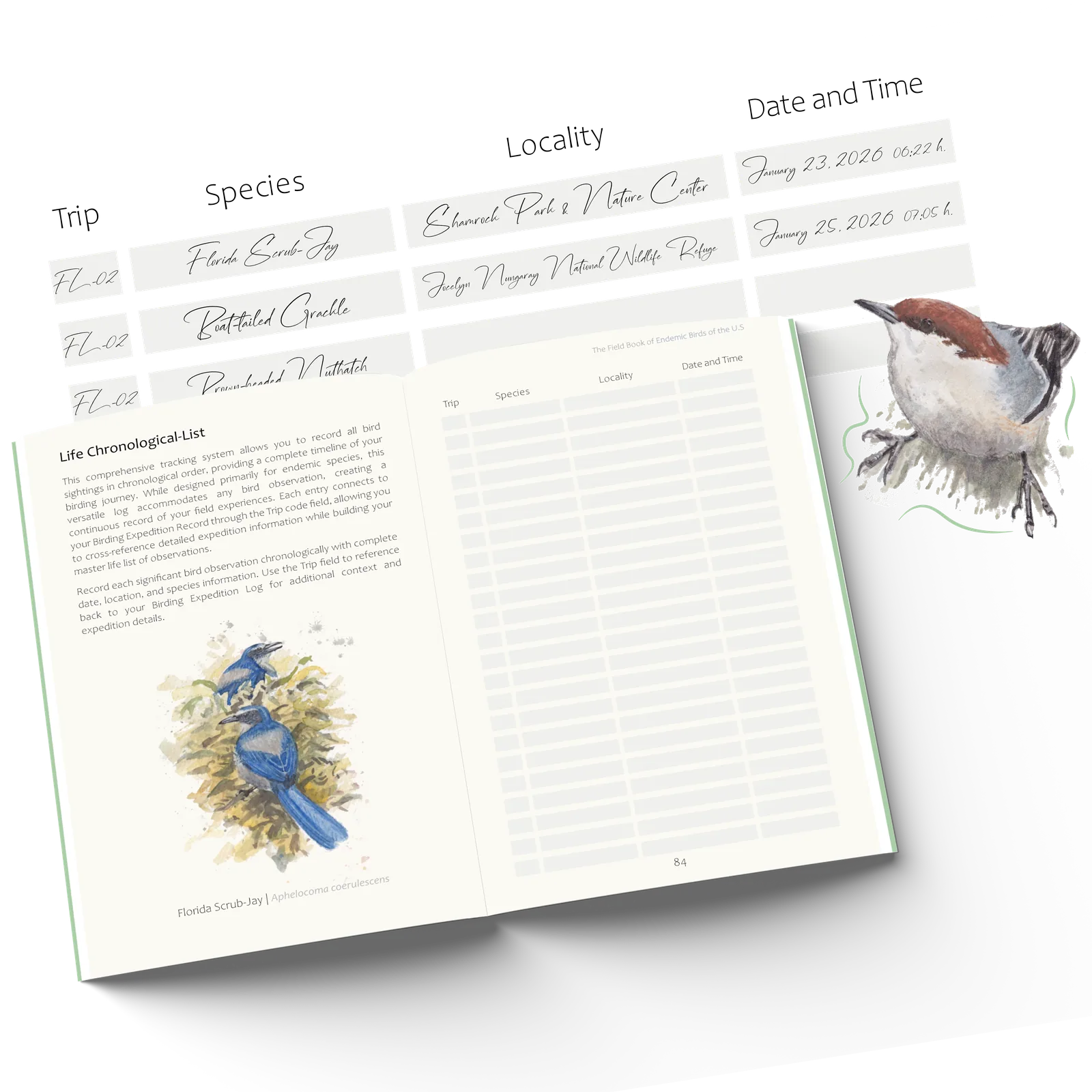 The chronological life-list page