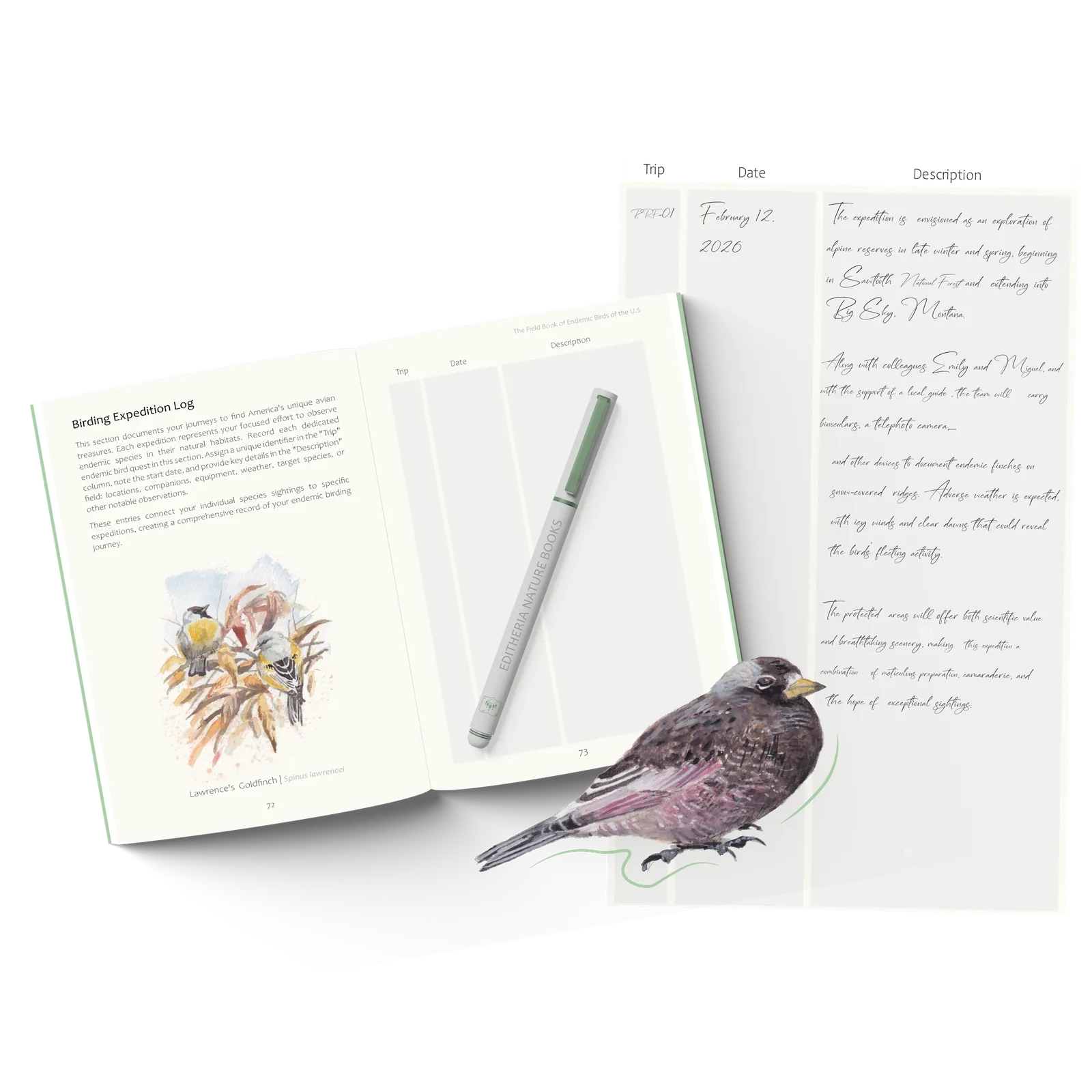 The birding expedition log page